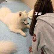 えみ ありがとう🐶 ピンクコレクション大阪キタ店