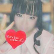 ヒメ日記 2026/10/14 06:00 投稿 りりか buzz-B