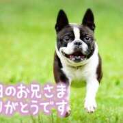 ヒメ日記 2026/10/20 15:01 投稿 みずほ 足利ソープ SBC