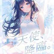 ★天使、降臨。★ 〈お知らせ〉 Cinderella Collection(シンデレラコレクション)