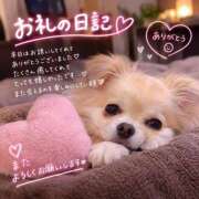 ヒメ日記 2026/10/24 05:43 投稿 後藤 HERMINE-エルミネ-