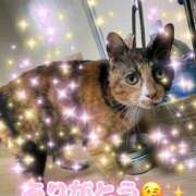 ヒメ日記 2026/10/03 22:13 投稿 福宮 人妻最後の砦 小岩店