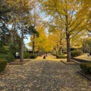 体験入店るしあ【全部ドンピシャ】 秋ですね🍂 仙台大人の秘密倶楽部