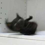 ヒメ日記 2026/10/06 21:13 投稿 Riu(りう) AMATERAS(アマテラス)(福山)