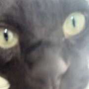 ヒメ日記 2026/10/13 10:09 投稿 Riu(りう) AMATERAS(アマテラス)(福山)