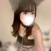 ヒメ日記 2026/10/04 19:22 投稿 あんず ピンキーエコ