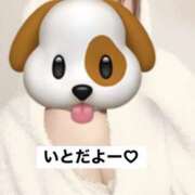 ヒメ日記 2026/10/19 14:04 投稿 いと さくらん