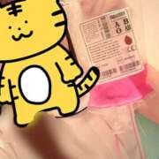 ヒメ日記 2026/10/05 16:43 投稿 ゆのん 横浜しこたまクリニック