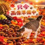 ヒメ日記 2026/10/19 19:09 投稿 らん 大和ナデシコ～人妻～
