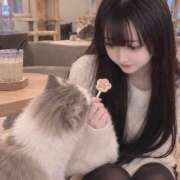 ヒメ日記 2026/10/17 00:02 投稿 ももな かわいい.com