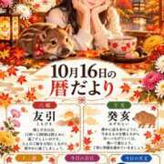ヒメ日記 2026/10/16 05:33 投稿 らい One More奥様　横浜関内店