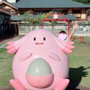 ヒメ日記 2026/10/08 18:13 投稿 あおい 西船人妻花壇