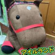 ヒメ日記 2026/10/11 11:30 投稿 あおい 西船人妻花壇