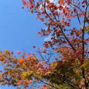 ヒメ日記 2026/10/10 13:43 投稿 ののか（スタンダード） プロローグ-序章-浜松店