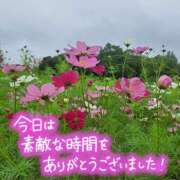 ヒメ日記 2026/10/16 21:37 投稿 ののか（スタンダード） プロローグ-序章-浜松店