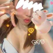 せいら(White) うさちゃん🐰💟 The White（ザ ホワイト）