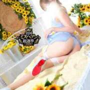 ヒメ日記 2026/10/23 16:36 投稿 なみ The White（ザ ホワイト）