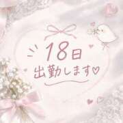 ヒメ日記 2026/10/14 07:20 投稿 ことり(GOLD) The White（ザ ホワイト）