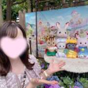 ミア ネット予約開始🌟⋆꙳ PALCO