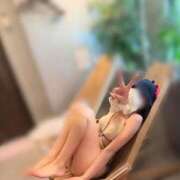 ヒメ日記 2026/10/12 14:41 投稿 美月こと 背徳SPA