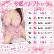 ヒメ日記 2026/10/13 08:08 投稿 りる プラチナ