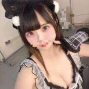 ヒメ日記 2026/10/08 04:24 投稿 猫田あむ HYPER TOKYO