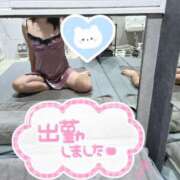 ヒメ日記 2026/10/23 06:48 投稿 ゆか The White（ザ ホワイト）