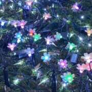 ヒメ日記 2025/02/09 23:30 投稿 花巻りあ ハレ系 メイドin福岡