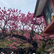 ヒメ日記 2025/03/15 20:29 投稿 花巻りあ ハレ系 メイドin福岡