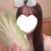 ヒメ日記 2025/03/26 00:53 投稿 花巻りあ ハレ系 メイドin福岡