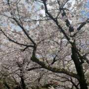 ヒメ日記 2025/04/04 19:52 投稿 花巻りあ ハレ系 メイドin福岡