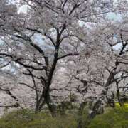 ヒメ日記 2025/04/09 00:19 投稿 花巻りあ ハレ系 メイドin福岡