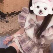 ヒメ日記 2025/05/06 01:12 投稿 花巻りあ ハレ系 メイドin福岡