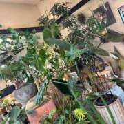 ヒメ日記 2025/05/15 20:07 投稿 花巻りあ ハレ系 メイドin福岡