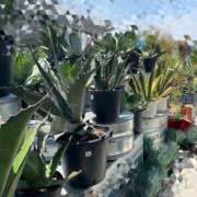 ヒメ日記 2025/06/07 07:47 投稿 花巻りあ ハレ系 メイドin福岡