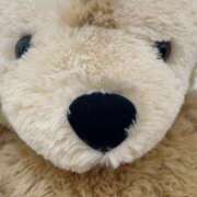 ヒメ日記 2025/09/29 07:47 投稿 花巻りあ ハレ系 メイドin福岡