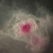 ヒメ日記 2025/10/20 21:01 投稿 花巻りあ ハレ系 メイドin福岡