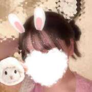 ヒメ日記 2026/04/04 17:09 投稿 花巻りあ ハレ系 メイドin福岡