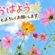 ヒメ日記 2026/10/17 10:31 投稿 白石　美来 人妻ディープインパクト