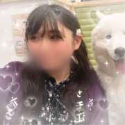 ヒメ日記 2026/10/09 16:19 投稿 もえ 素人妻御奉仕倶楽部Hip's松戸店
