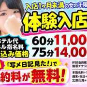 せな せな（エコ日本橋店） スピードエコ日本橋店