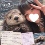 ヒメ日記 2026/10/13 21:51 投稿 あめ★高身長のキレカワJD★ S級素人清楚系デリヘル chloe