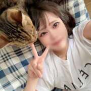 ヒメ日記 2026/10/22 15:38 投稿 せん JAPAN CLUB BUNNY LOUNGE