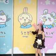 ヒメ日記 2026/10/11 17:42 投稿 すず めちゃカワ女子 小田原早川店