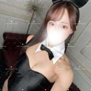 ヒメ日記 2026/10/17 11:45 投稿 なな JAPAN CLUB BUNNY LOUNGE