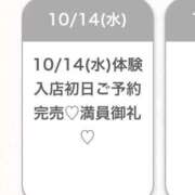 ヒメ日記 2026/10/14 20:18 投稿 みやび★気品溢れる清純派OL★ Bell～S級美女お姉様・人妻デリヘル～