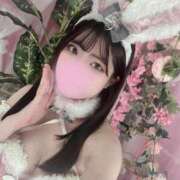 すみれ もこもこうさちゃん🐰⸝꙳ ロイヤルフラッシュ