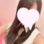 きなこ お部屋着きました❣️ ミスターダンディ パート2