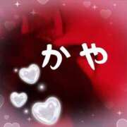 かや かやのこと気になってる人〜🙋‍♀️？♡ プラチナ
