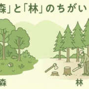 ヒメ日記 2026/10/15 14:38 投稿 林みおり 恋する妻たち